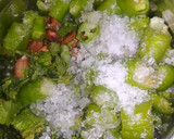 ગ્રીન ચટણી (Green Chutney Recipe in Gujarati) રેસીપી સ્ટેપ1ફોટો