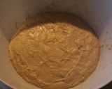 Foto del passaggio 5 della ricetta Impasto a lunga lievitazione