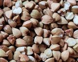 Foto del paso 1 de la receta: Pan de trigo sarraceno EN GRANO 🌾 fermentado 24 h 🌾 sin gluten ni levadura ni masa madre ni harina