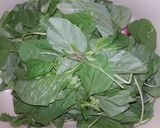 Foto langkah ke 3 dari resep 2# Sayur bening, tanpa bawang putih tanpa kunci.