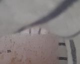 Foto del paso 3 de la receta: Masa madre de espelta integral