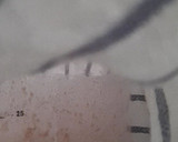 Foto del paso 3 de la receta: Masa madre de espelta integral