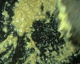 Foto langkah ke 1 dari resep Dimsum Ayam Sayur.