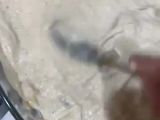 بطاطا بشاميل
