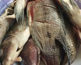 Tilapia stewmatakin girki1 hoto