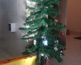 A picture of step 14 of Gingerbread House.