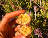 Foto del paso 4 de la receta: Castagnole