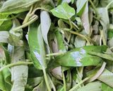 Foto langkah ke 1 dari resep Tumis Kangkung Ringan.