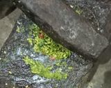 A picture of step 2 of Moong Chatpata Chutney with Pudina Patta and Ginger.