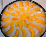 Őszibarack torta sütés nélkül recept fázis 6 fotója