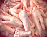 Hình bước làm 1 của món CHÂN GÀ HẤP TÀU XÌ KIỂU HONGKONG (CHÂN GÀ PHÙNG CHẢO)