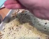 Rakott karfiol! recept fázis 5 fotója