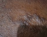 A picture of step 4 of Hobnob style chocolate cake 🎂🎂🍫🍫.