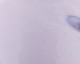 A picture of step 6 of Dahi Bhalla.