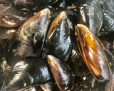 Foto del paso 1 de la receta: Mejillones de Lorbé al vapor