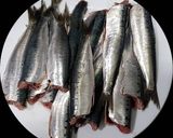Foto del paso 1 de la receta: Sardinas escabechadas