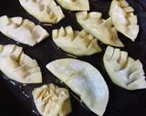Foto langkah ke 4 dari resep 35 - Gyoza Ayam.