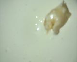 A picture of step 2 of Tricolour Peda.