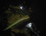 Foto langkah ke 3 dari resep Ungkep Ayam dan Tempe.