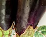 صورة لخطوة 4 من وصفة مسقعة باذنجان 🍆 بدون لحم أكله مصرية لذيذة إقتصادية 👌