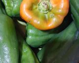 A picture of step 1 of Iraqi Dolma 🥒🫑🍆🥔🍅🧅.