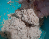 Foto del paso 4 de la receta: Pan de molde integral