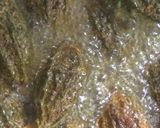 A picture of step 3 of Bharwan Karela.