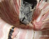 Baconba tekert rakottkel kuglóf recept fázis 4 fotója
