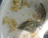 Foto langkah ke 4 dari resep Sup Jagung Telur Tomat Misoa.