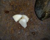 Foto langkah ke 2 dari resep Tahu Aci.
