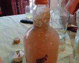 Foto del paso 10 de la receta: Licor de naranja y ciruela