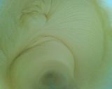 Foto del paso 1 de la receta: Budín de crema