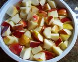 Foto del paso 3 de la receta: Ensalada de frutas