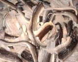 Foto langkah ke 1 dari resep Sambal Belut Kriuk.