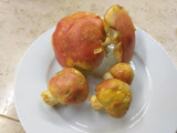 Insalata di ovuli