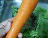 Gambar langkah 1 resipi Salad Campuran.