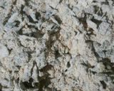 A picture of step 8 of Methi Thepla.