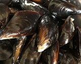 Foto del paso 1 de la receta: Mejillones a la mostaza