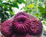 Hình bước làm 5 của món Bánh trung thu khoai lang tím (nhân khoai lang vàng)