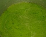 Foto langkah ke 3 dari resep Puding Lumut ☺.