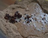 Foto del paso 2 de la receta: Galletas de harina integral y cacao amargo