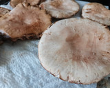 Foto del paso 2 de la receta: Gurumelos a la plancha con jamón