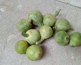A picture of step 12 of Tawa Fry Tinday.