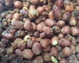 Foto langkah ke 3 dari resep 31•05•20 > Kacang Disco by PapaO.