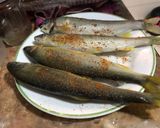 氣炸香魚的食譜步驟2照片