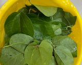 Hình bước làm 1 của món Sương Sâm Vò Từ Lá Không Bị Bọt