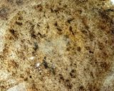 A picture of step 1 of Salty chewrha 😍😋👌.