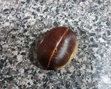 A picture of step 1 of Oven Roasted Chestnut 烤板栗,轻松去壳.