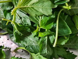 Sayur Bayam