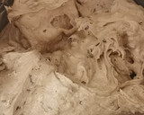 Foto del paso 2 de la receta: Cookies de chocolate